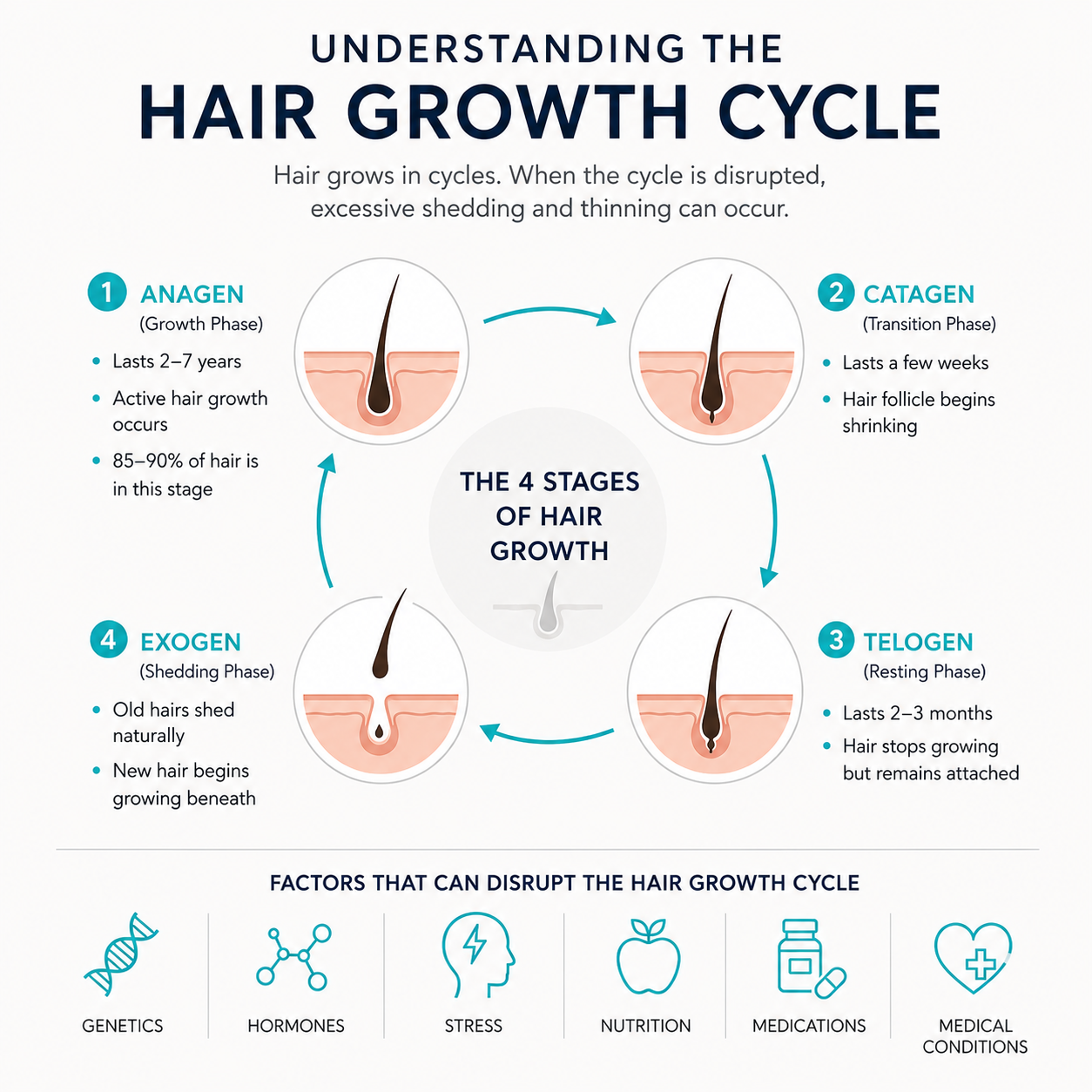 Understanding the Hair Growth Cycle